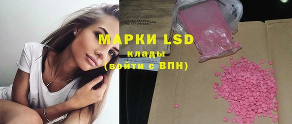 шишки Беломорск
