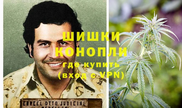 шишки Беломорск
