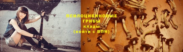 амф Снежногорск